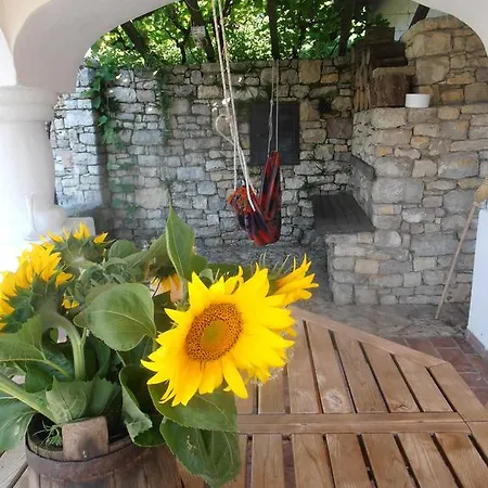 Semesterbostad Tik Hegyi Haz