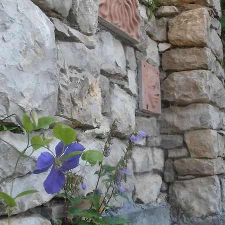 Semesterbostad Tik Hegyi Haz