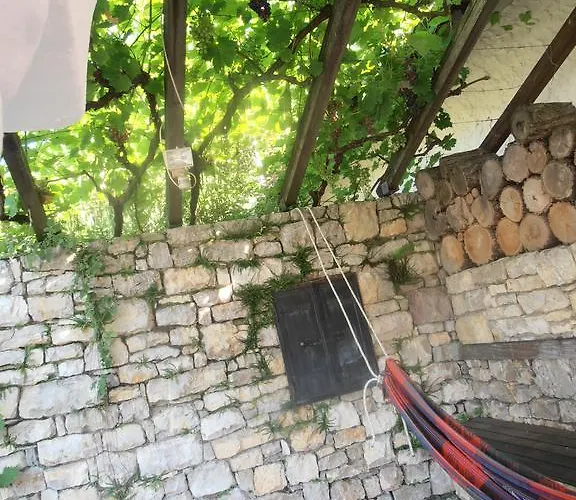 Tik Hegyi Haz *